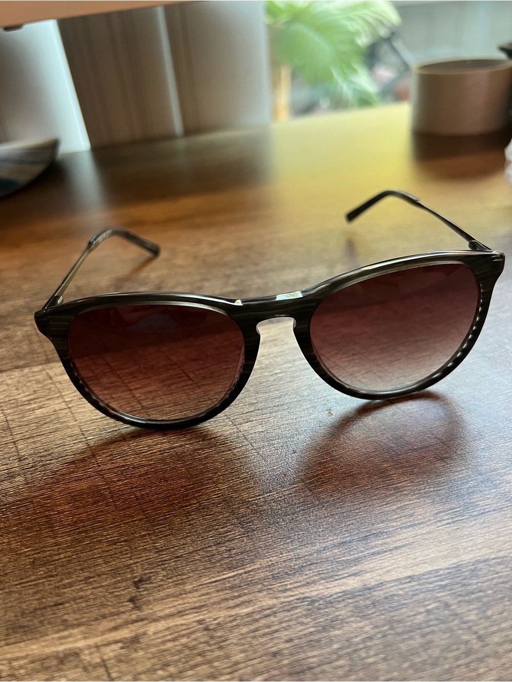 PRIMARY PRS09-BLACK/HORN-54-SUN Sunglasses